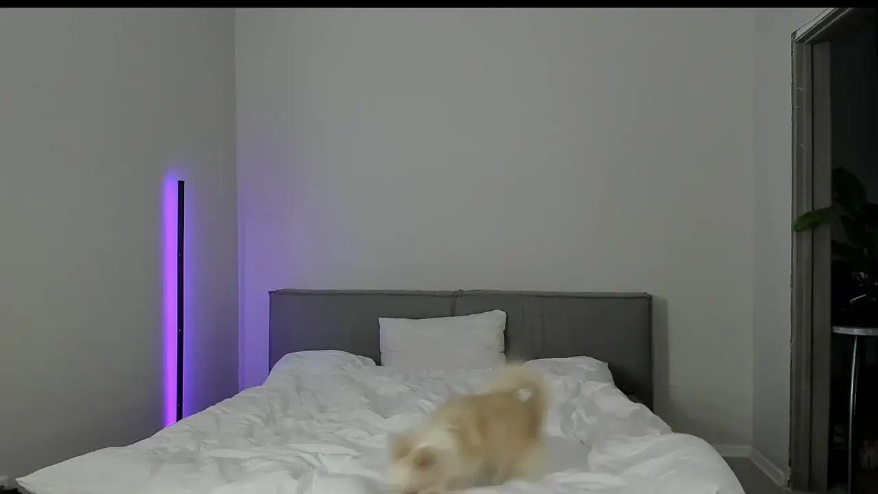 sarahphyllis cam show video 10/19/2025