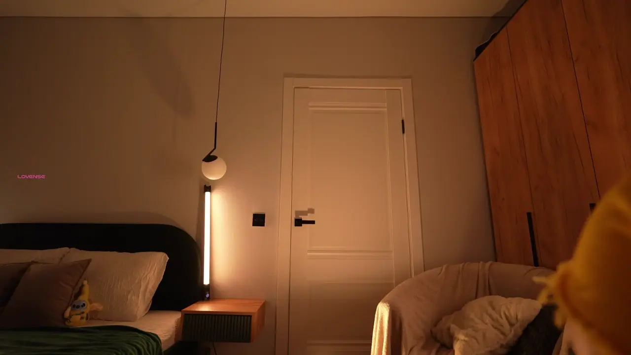 SenSage cam show video 10/22/2025