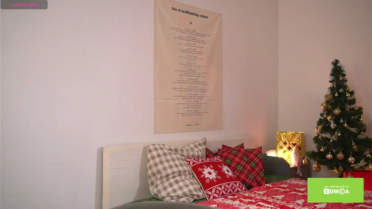 swtty_meivi cam show video 12/26/2025