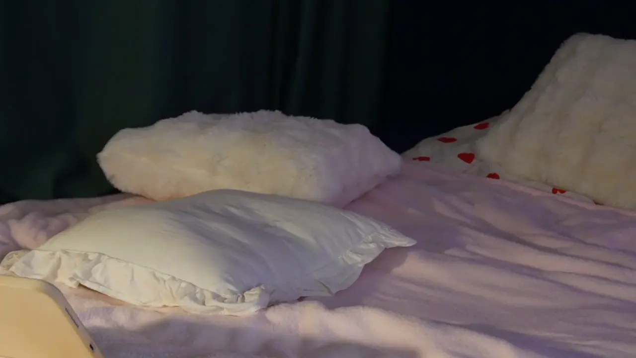 wladilia cam show video 1/29/2026